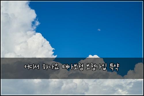 어디서 하나요 태아보험 보험가입  특약