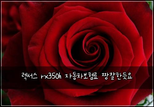 렉서스 rx350h 자동차보험료 짱잘한듯요