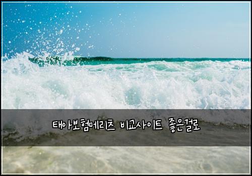 태아보험메리츠 비교사이트 좋은걸로