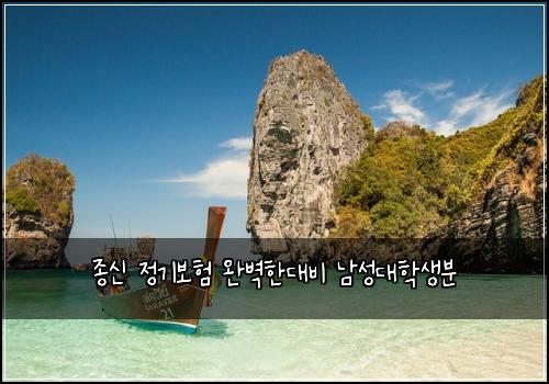 종신 정기보험 완벽한대비  남성대학생분