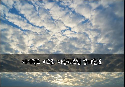 λ€μ΄λ νΈ λΉκ΅λ‘ μλ차보ν μ€κ³μλ£