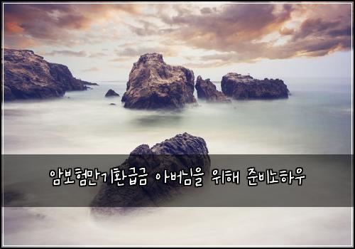 암보험만기환급금 아버님을 위해 준비노하우