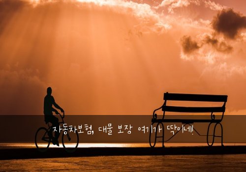 자동차보험, 대물 보장 여기가 딱이네!