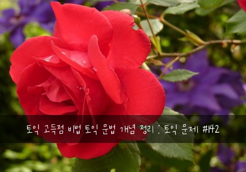 토익 고득점 비법 토익 문법 개념 정리 : 토익 문제 #142