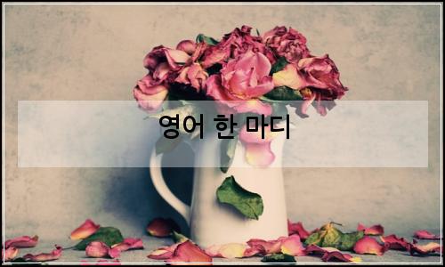 오늘의 이미지
