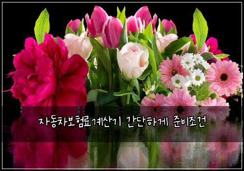 자동차보험료계산기 간단하게 준비조건