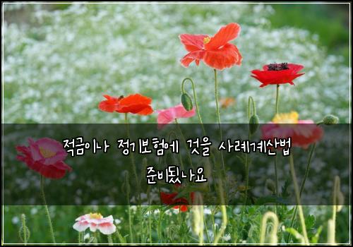 적금이나 정기보험에 것을 사례계산법 준비됬나요