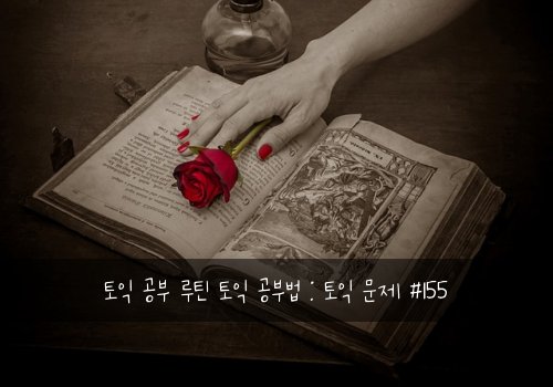 토익 공부 루틴 토익 공부법 : 토익 문제 #155