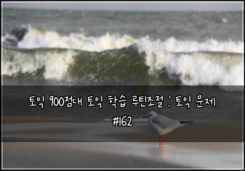 토익 900점대 토익 학습 루틴조절 : 토익 문제 #162