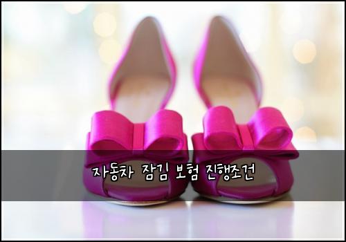 ์๋์ฐจ ์ ๊น ๋ณดํ ์งํ์กฐ๊ฑด