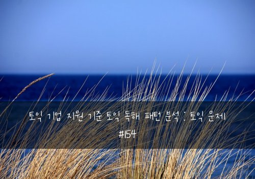 토익 기업 지원 기준 토익 독해 패턴 분석 : 토익 문제 #154