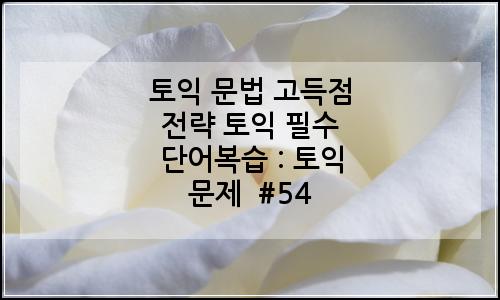 오늘의 이미지