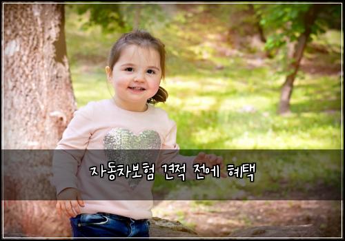 자동차보험 견적  전에 혜택