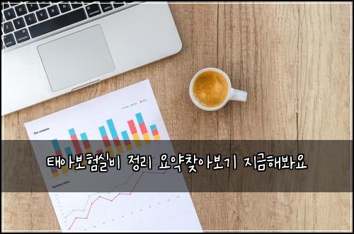 태아보험실비 정리 요약찾아보기 지금해봐요