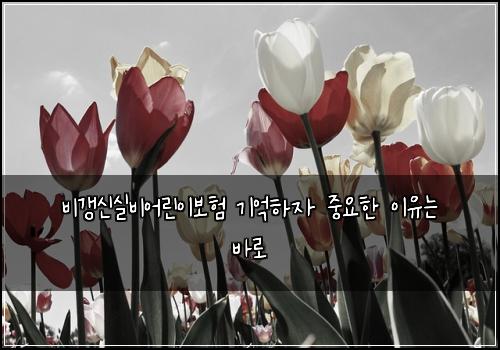 비갱신실비어린이보험 기억하자  중요한 이유는 바로