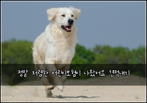 정말 저렴한 어린이보험이 나왔어요 견적내기