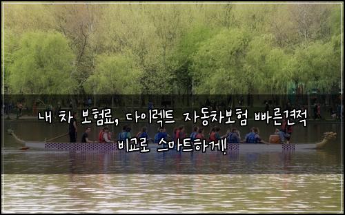  내 차 보험료, 다이렉트 자동차보험 빠른견적 비교로 스마트하게!