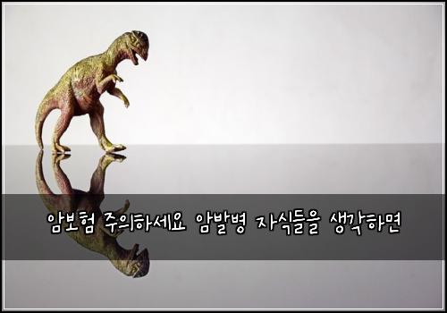 암보험 주의하세요  암발병 자식들을 생각하면