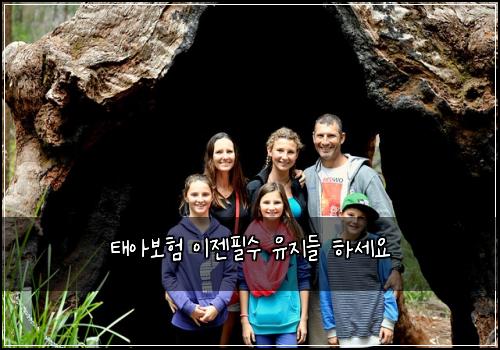 태아보험 이젠필수  유지들 하세요