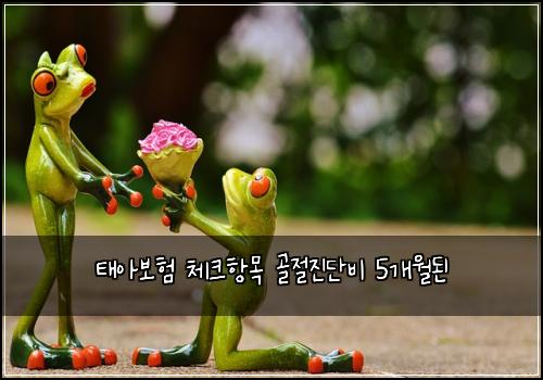 태아보험 체크항목  골절진단비 5개월된