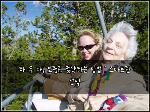 차 두 대, 보험료 절약하는 방법 : 스마트한 선택