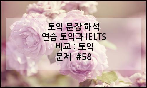 오늘의 이미지