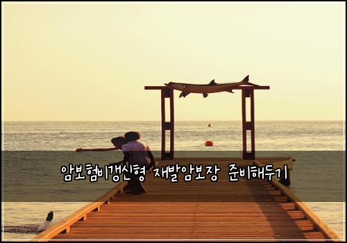암보험비갱신형 재발암보장 준비해두기