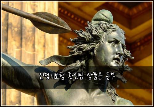 신정기보험 확인팁  상품은 동부