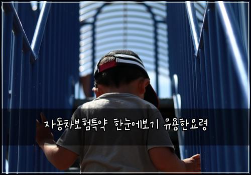 자동차보험특약 한눈에보기 유용한요령