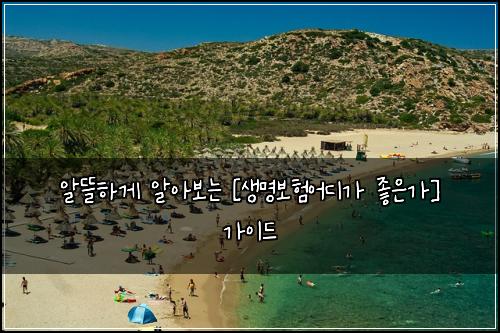 알뜰하게 알아보는 [생명보험어디가 좋은가] 가이드