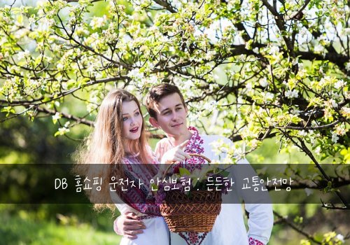  DB 홈쇼핑 운전자 안심보험 : 든든한 교통안전망