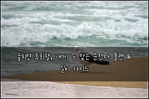  놓치면 후회할, 내게 꼭 맞는 운전자 플랜 & 실비 가이드