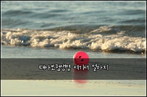 태아보험생명 여기서 얼마지