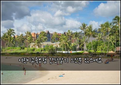 어린이교육보험 간단알기  드신분 있으세요
