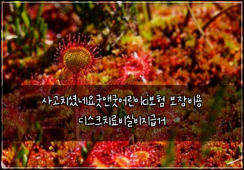 사고치셨네요굿앤굿어린이ci보험 보장비용  디스크치료비실비지급거