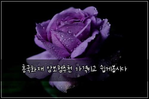 흥국화재 암보험추천 가격비교 쉽게봅시다