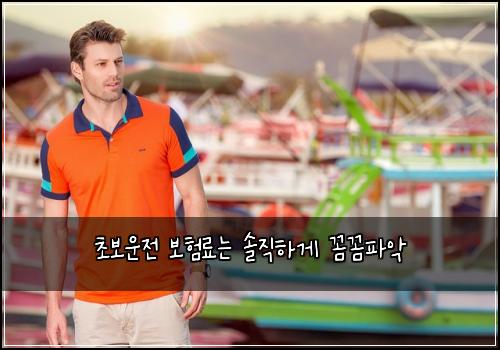 초보운전 보험료는 솔직하게 꼼꼼파악