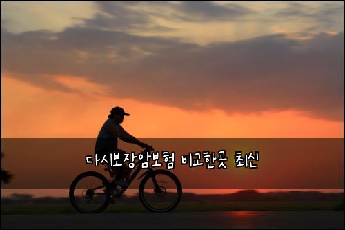 다시보장암보험 비교한곳  최신