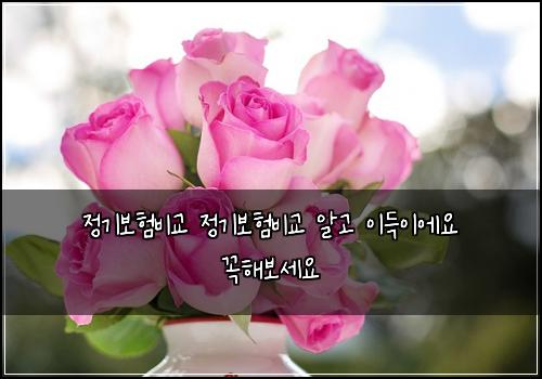 정기보험비교 정기보험비교 알고 이득이에요 꼭해보세요