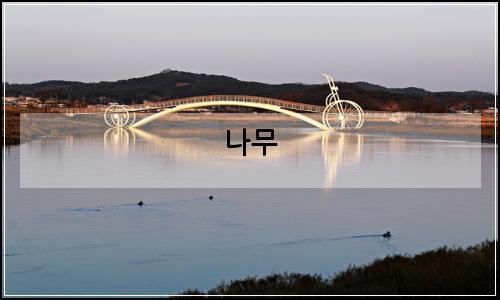 오늘의 이미지