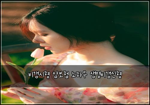 비갱시형 암보험 노하우  생명비갱신형