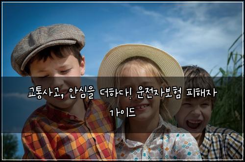 교통사고, 안심을 더하다! 운전자보험 피해자 가이드
