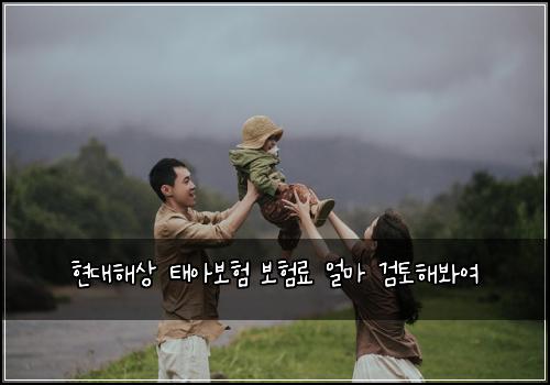 현대해상 태아보험 보험료 얼마 검토해봐여