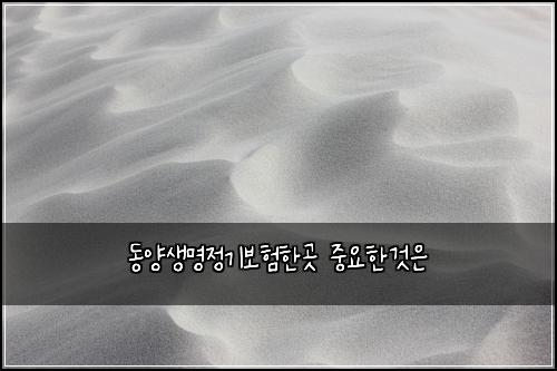 동양생명정기보험한곳 중요한것은