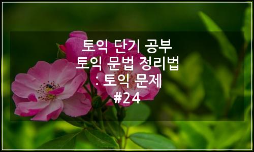 오늘의 이미지