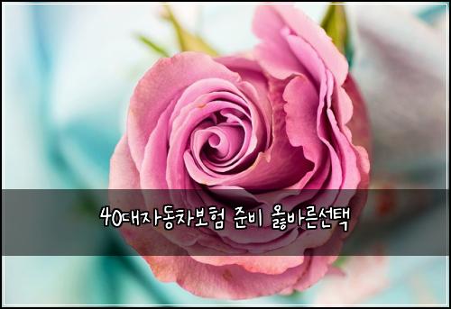 40대자동차보험 준비  옳바른선택