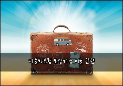 자동차보험 보장가능  비율 관련