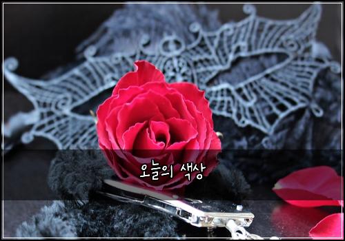 오늘의 색상