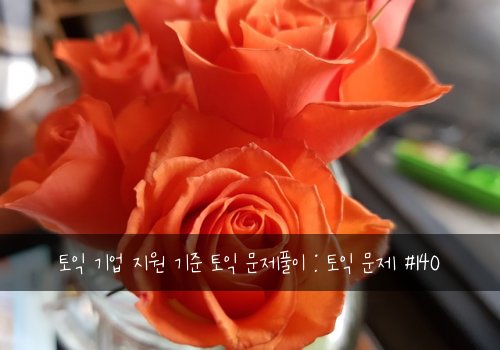 토익 기업 지원 기준 토익 문제풀이 : 토익 문제 #140