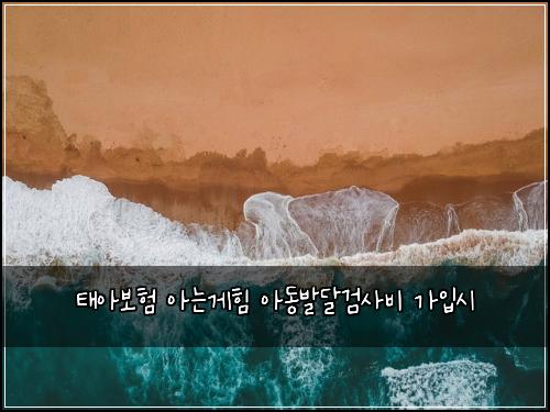태아보험 아는게힘  아동발달검사비 가입시